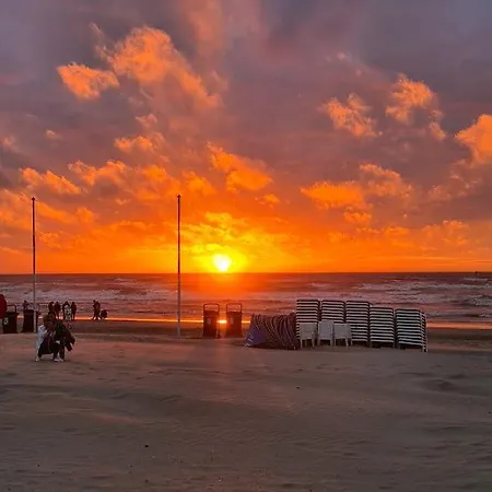 Het Duinhuisje Met Jacuzzi, Gratis Parkeren, 2 Fietsen Te Leen, Airco Bed & Breakfast