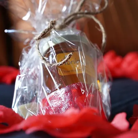 Bed & Breakfast Het Duinhuisje Met Jacuzzi, Gratis Parkeren, 2 Fietsen Te Leen, Airco Zandvoort