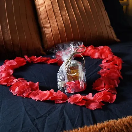 Bed & Breakfast Het Duinhuisje Met Jacuzzi, Gratis Parkeren, 2 Fietsen Te Leen, Airco Zandvoort