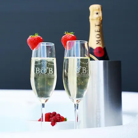 Het Duinhuisje Met Jacuzzi, Gratis Parkeren, 2 Fietsen Te Leen, Airco Zandvoort