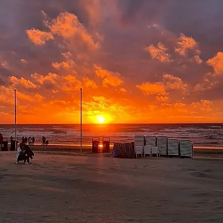 Het Duinhuisje Met Jacuzzi, Gratis Parkeren, 2 Fietsen Te Leen, Airco Bed & Breakfast