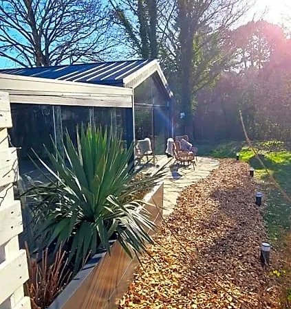 Het Duinhuisje Met Jacuzzi, Gratis Parkeren, 2 Fietsen Te Leen, Airco Bed & Breakfast Zandvoort
